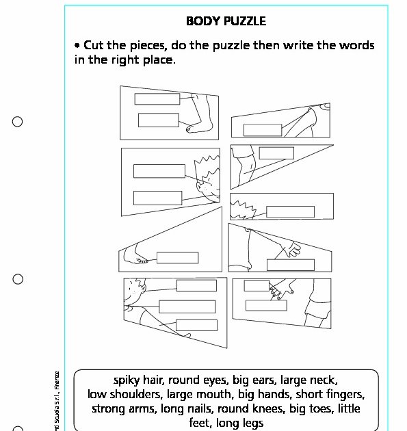 Body puzzle | Giunti Scuola