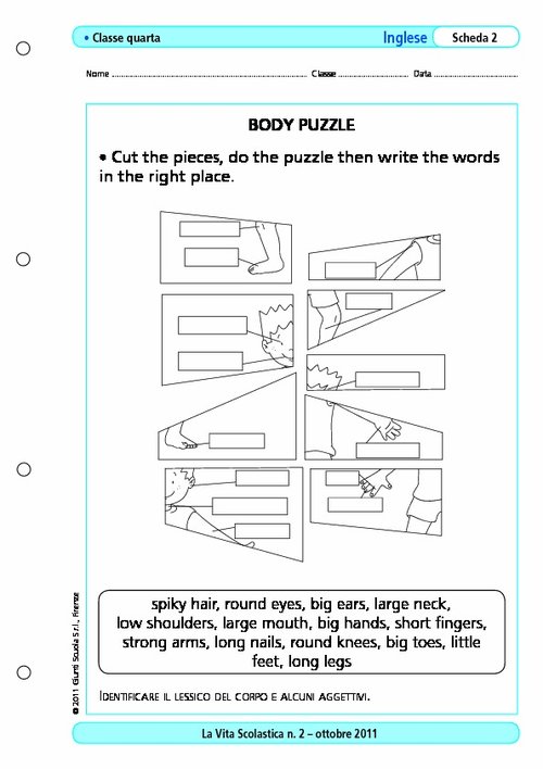 Body puzzle | Giunti Scuola
