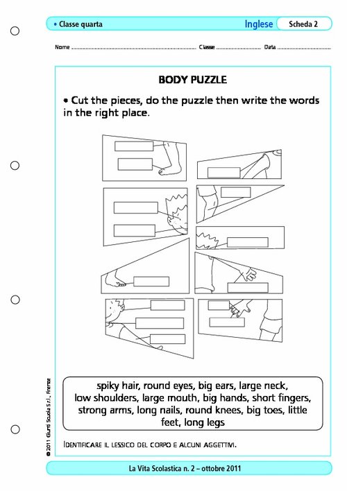 Body puzzle | Giunti Scuola Body puzzle | Giunti Scuola
