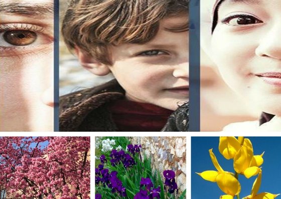 Buona Pasqua guardandoci negli occhi | Giunti Scuola Buona Pasqua guardandoci negli occhi | Giunti Scuola