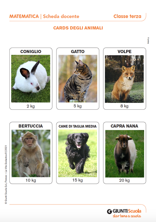Cards degli animali | Giunti Scuola