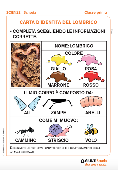 Carta d’identità del lombrico | Giunti Scuola Carta d’identità del lombrico | Giunti Scuola