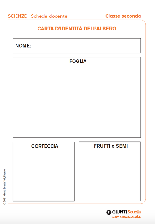 Carta d’identità dell’albero | Giunti Scuola Carta d’identità dell’albero | Giunti Scuola