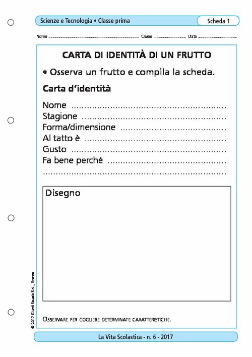 Carta d'identità di un frutto | Giunti Scuola Carta d'identità di un frutto | Giunti Scuola