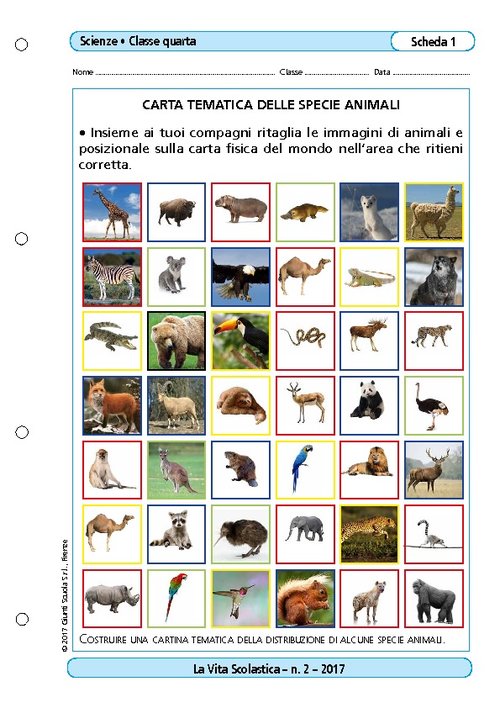 Carta tematica delle specie animali | Giunti Scuola