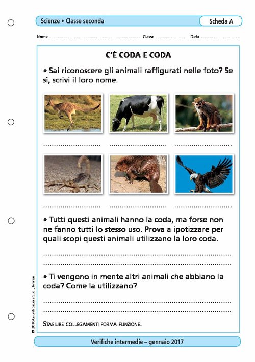 C'è coda e coda | Giunti Scuola C'è coda e coda | Giunti Scuola