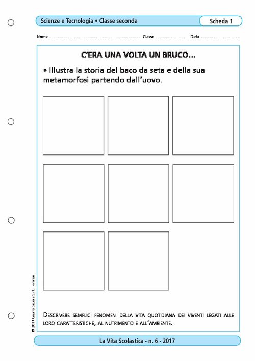 C'era una volta un bruco... | Giunti Scuola C'era una volta un bruco... | Giunti Scuola