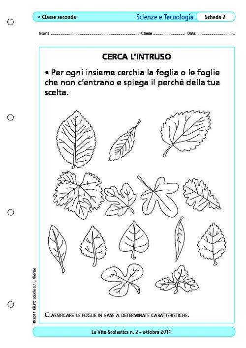 Cerca l'intruso | Giunti Scuola Cerca l'intruso | Giunti Scuola