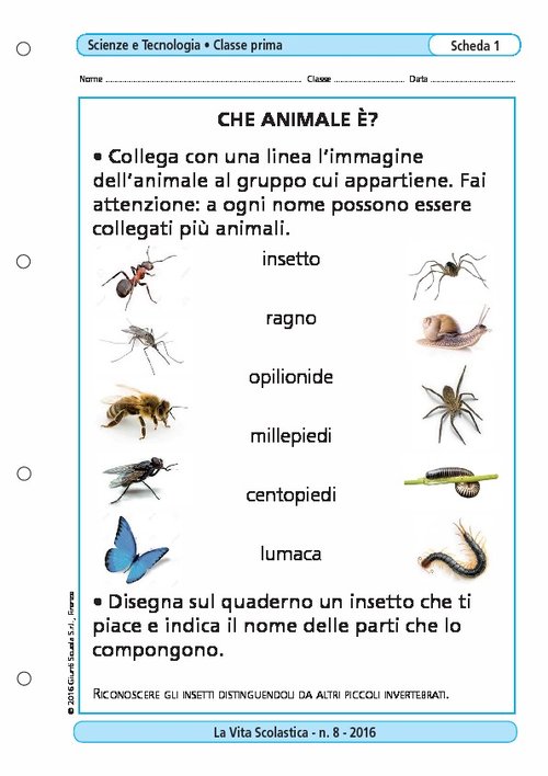 Che animale è? | Giunti Scuola Che animale è? | Giunti Scuola