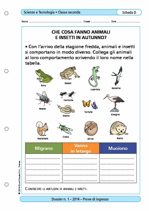Che cosa fanno animali e insetti in autunno? | Giunti Scuola Che cosa fanno animali e insetti in autunno? | Giunti Scuola