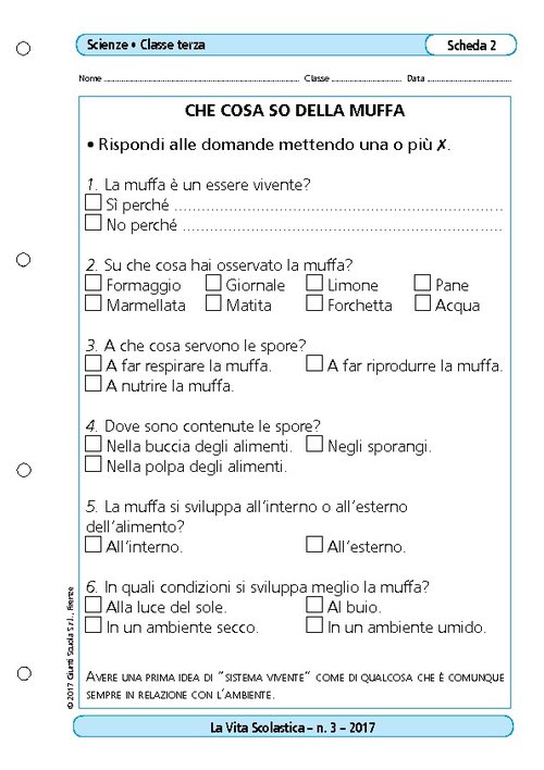 Che cosa so della muffa | Giunti Scuola Che cosa so della muffa | Giunti Scuola