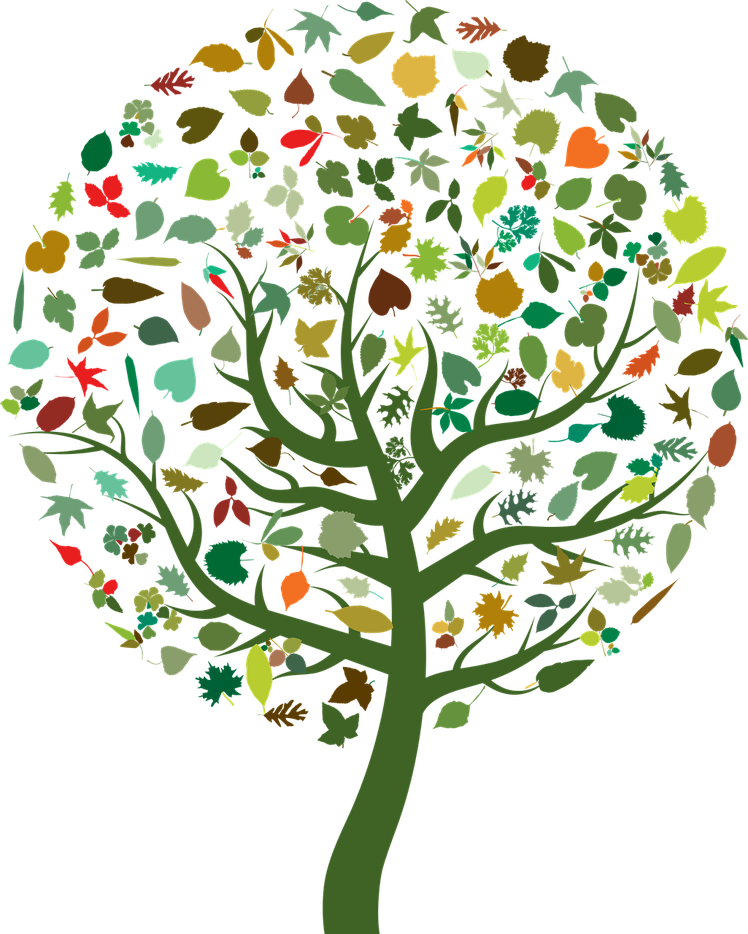 Che cos'è la biodiversità? | Giunti Scuola Che cos'è la biodiversità? | Giunti Scuola