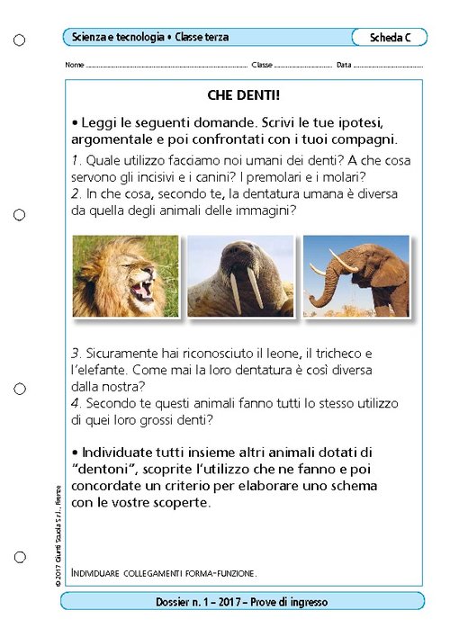 Che denti! | Giunti Scuola Che denti! | Giunti Scuola