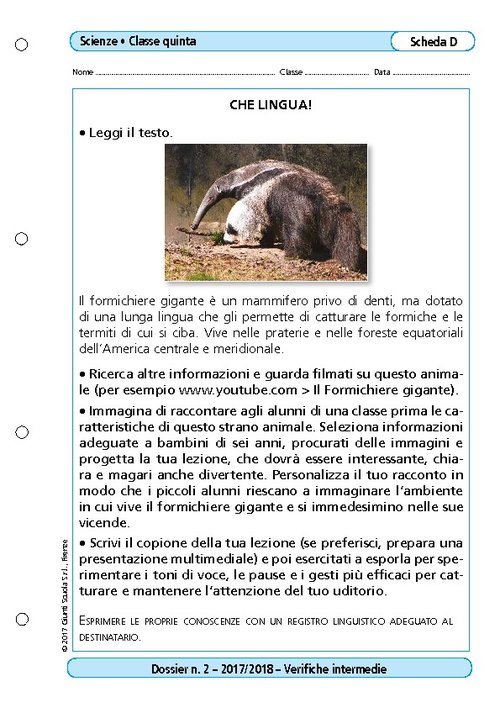 Che lingua! | Giunti Scuola Che lingua! | Giunti Scuola