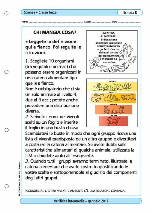 Chi mangia cosa? | Giunti Scuola Chi mangia cosa? | Giunti Scuola