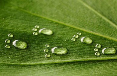 Cibo, clima, scuola | Giunti Scuola