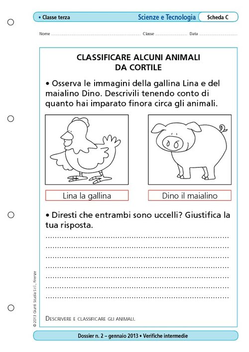 Classificare alcuni animali da cortile | Giunti Scuola Classificare alcuni animali da cortile | Giunti Scuola