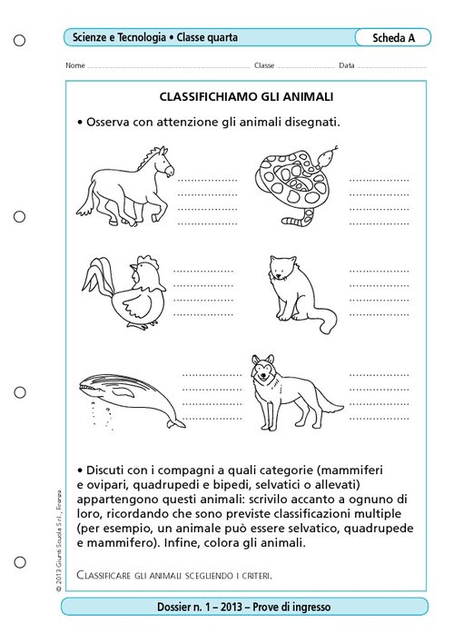 Classifichiamo gli animali | Giunti Scuola Classifichiamo gli animali | Giunti Scuola