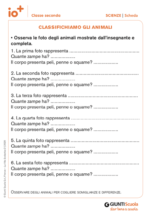 Classifichiamo gli animali | Giunti Scuola Classifichiamo gli animali | Giunti Scuola