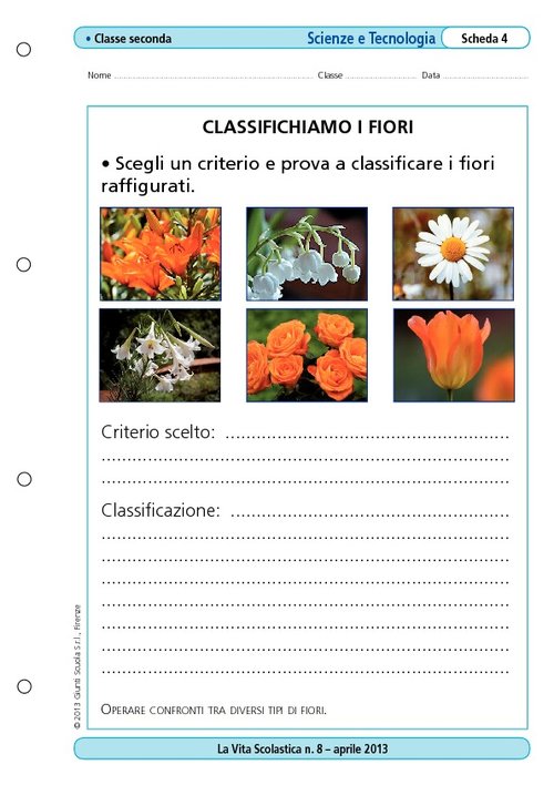 Classifichiamo i fiori | Giunti Scuola Classifichiamo i fiori | Giunti Scuola