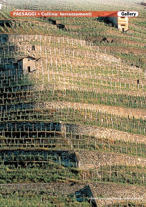 Collina | Giunti Scuola Collina | Giunti Scuola