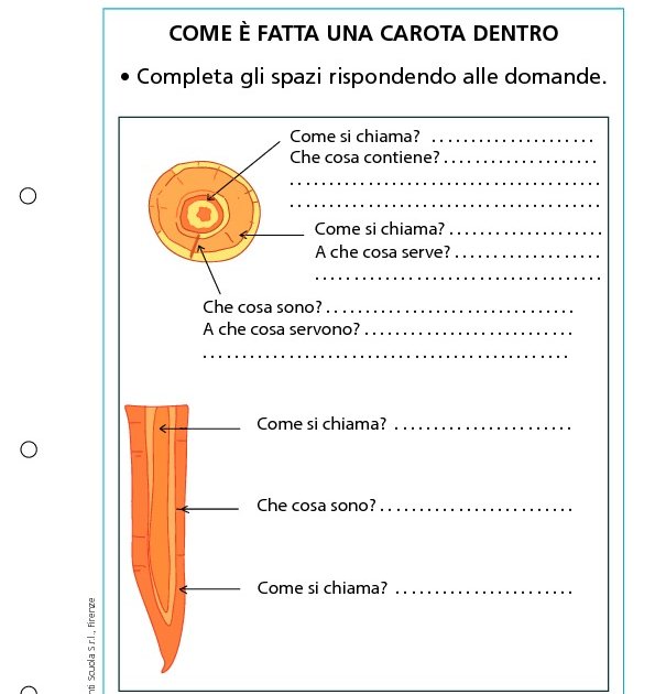 Come è fatta una carota dentro | Giunti Scuola