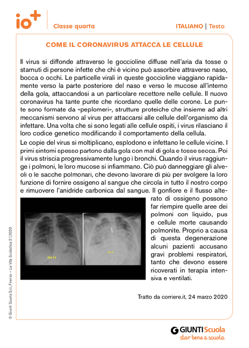 Come il coronavirus attacca le cellule | Giunti Scuola Come il coronavirus attacca le cellule | Giunti Scuola