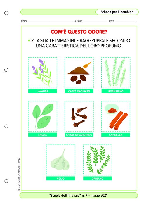 Com'è questo odore? | Giunti Scuola Com'è questo odore? | Giunti Scuola