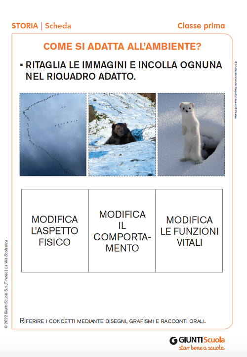 Come si adatta all'ambiente? | Giunti Scuola Come si adatta all'ambiente? | Giunti Scuola