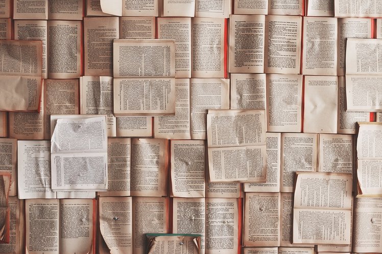Come si organizza una biblioteca interculturale a scuola | Giunti Scuola Come si organizza una biblioteca interculturale a scuola | Giunti Scuola
