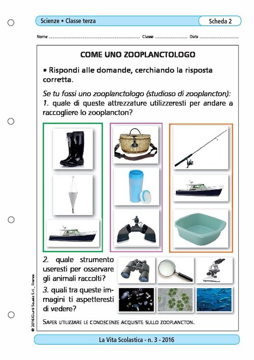 Come uno zooplanctologo | Giunti Scuola Come uno zooplanctologo | Giunti Scuola