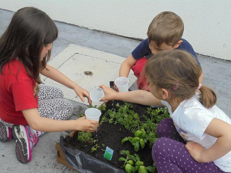 Compiti autentici di realtà nella scuola dell'infanzia | Giunti Scuola