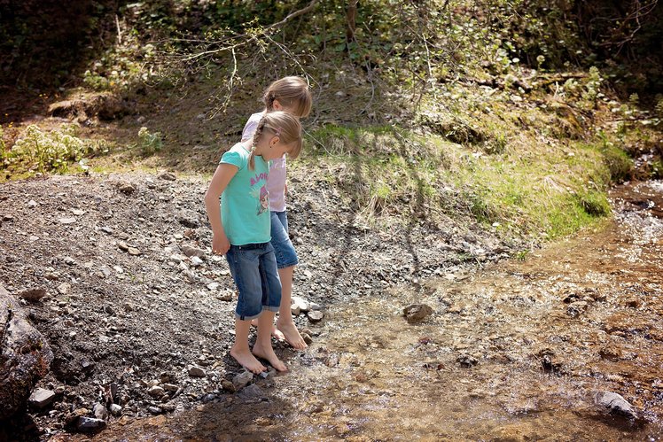 Compito per l’estate: incontrare la Natura | Giunti Scuola