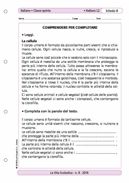 Comprendere per completare | Giunti Scuola Comprendere per completare | Giunti Scuola