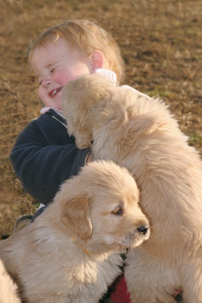 Comunicare con il cane | Giunti Scuola