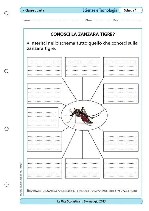 Conosci la zanzara tigre? | Giunti Scuola Conosci la zanzara tigre? | Giunti Scuola