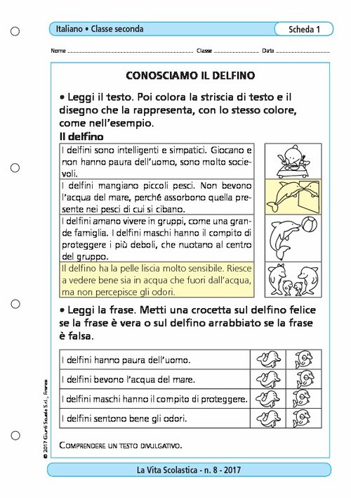 Conosciamo il delfino | Giunti Scuola Conosciamo il delfino | Giunti Scuola