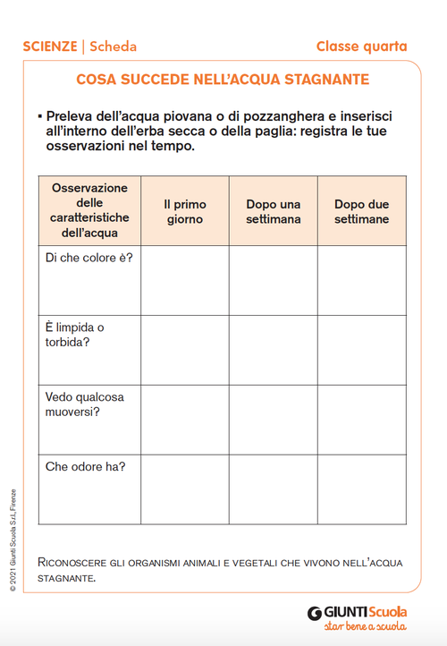 Cosa succede nell’acqua stagnante | Giunti Scuola Cosa succede nell’acqua stagnante | Giunti Scuola