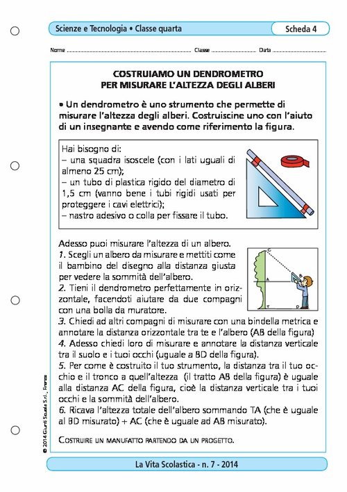 Costruiamo un dendrometro per misurare l'altezza degli alberi | Giunti Scuola