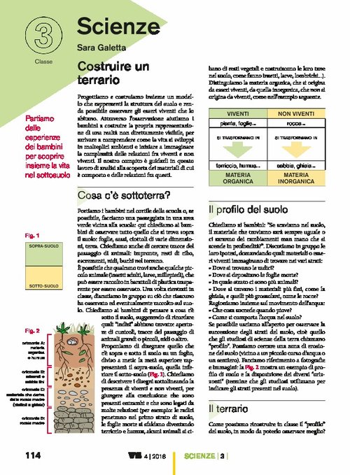 Costruiamo un terrario | Giunti Scuola