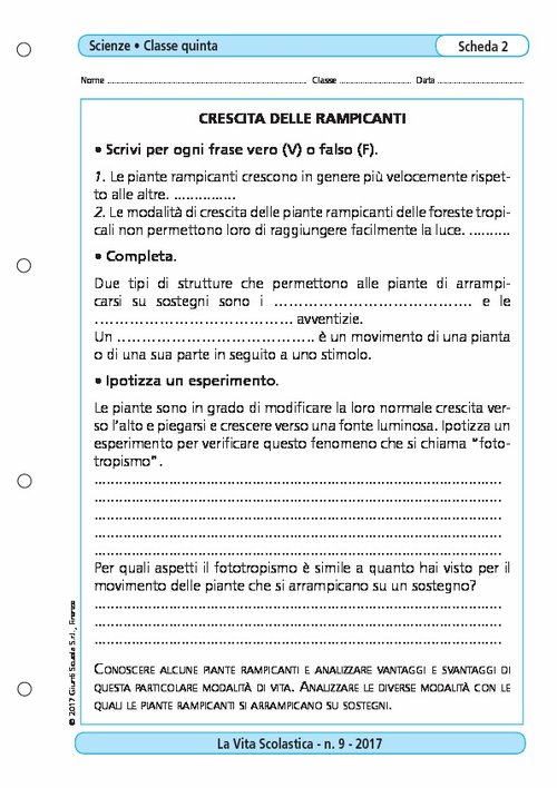 Crescita delle rampicanti | Giunti Scuola Crescita delle rampicanti | Giunti Scuola
