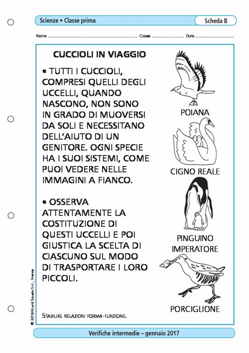 Cuccioli in viaggio | Giunti Scuola Cuccioli in viaggio | Giunti Scuola