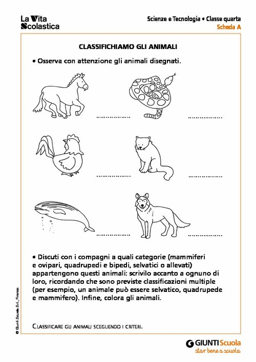 D1_18_SCI4_MP_SCHEDE.pdf | Giunti Scuola
