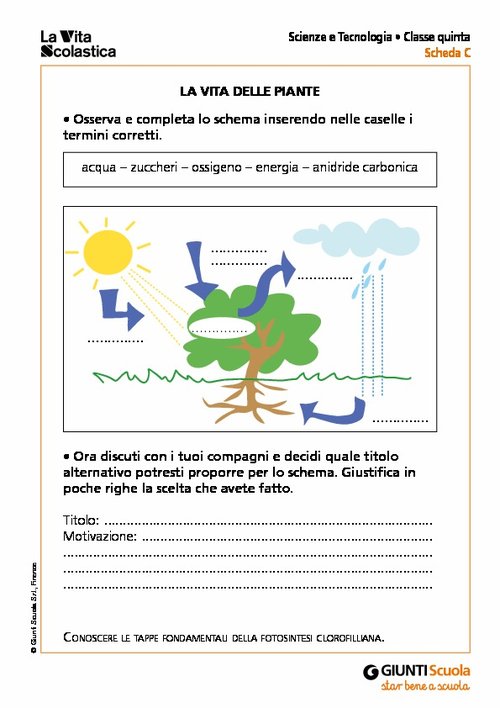 D1_18_SCI5_MP_SCHEDE 3.pdf | Giunti Scuola