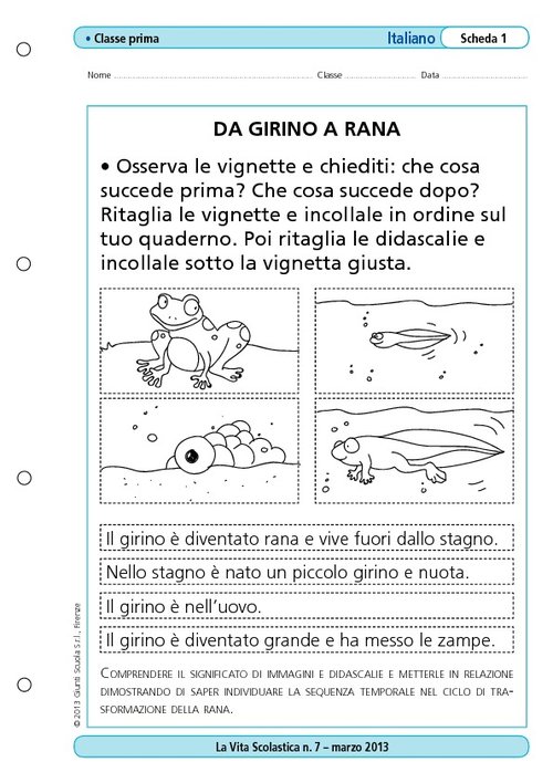 Da girino a rana | Giunti Scuola Da girino a rana | Giunti Scuola