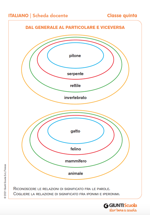 Dal generale al particolare e viceversa | Giunti Scuola Dal generale al particolare e viceversa | Giunti Scuola