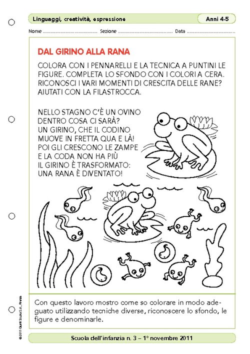Dal girino alla rana | Giunti Scuola Dal girino alla rana | Giunti Scuola