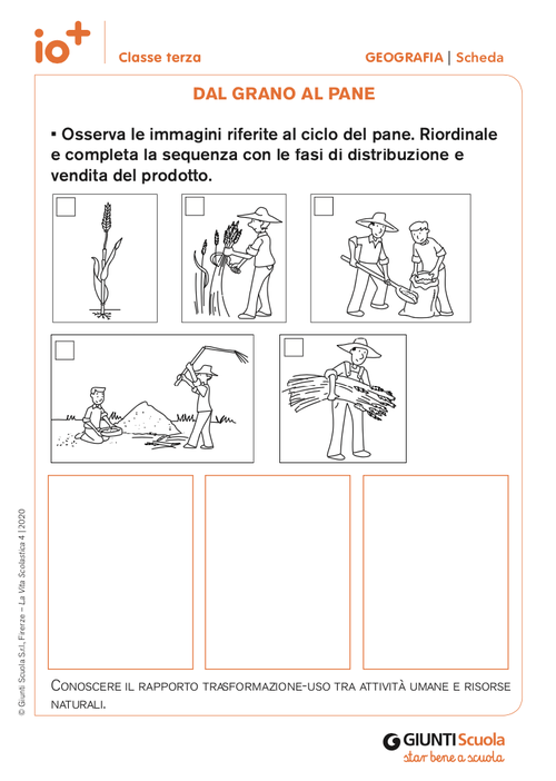 Dal grano al pane | Giunti Scuola Dal grano al pane | Giunti Scuola