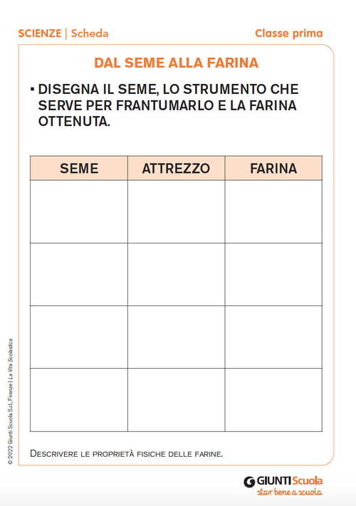 Dal seme alla farina | Giunti Scuola Dal seme alla farina | Giunti Scuola