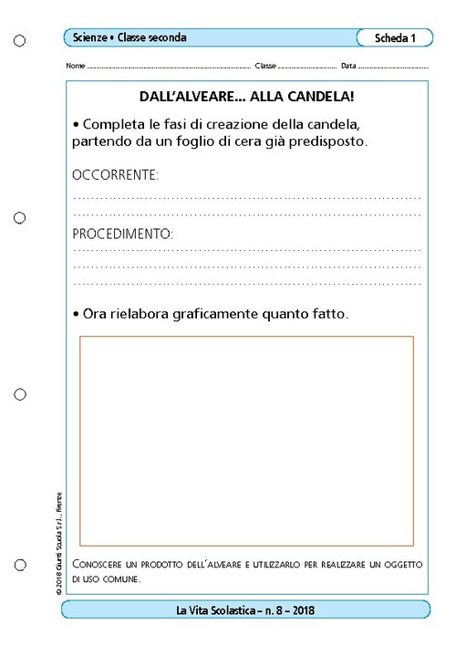 Dall'alveare... alla candela! | Giunti Scuola Dall'alveare... alla candela! | Giunti Scuola